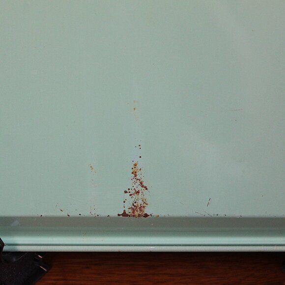 Vintage Tin Litho Serving TV Tray, Jade, Mint, Green, Camellia Blossom Design - Picture 12 of 14